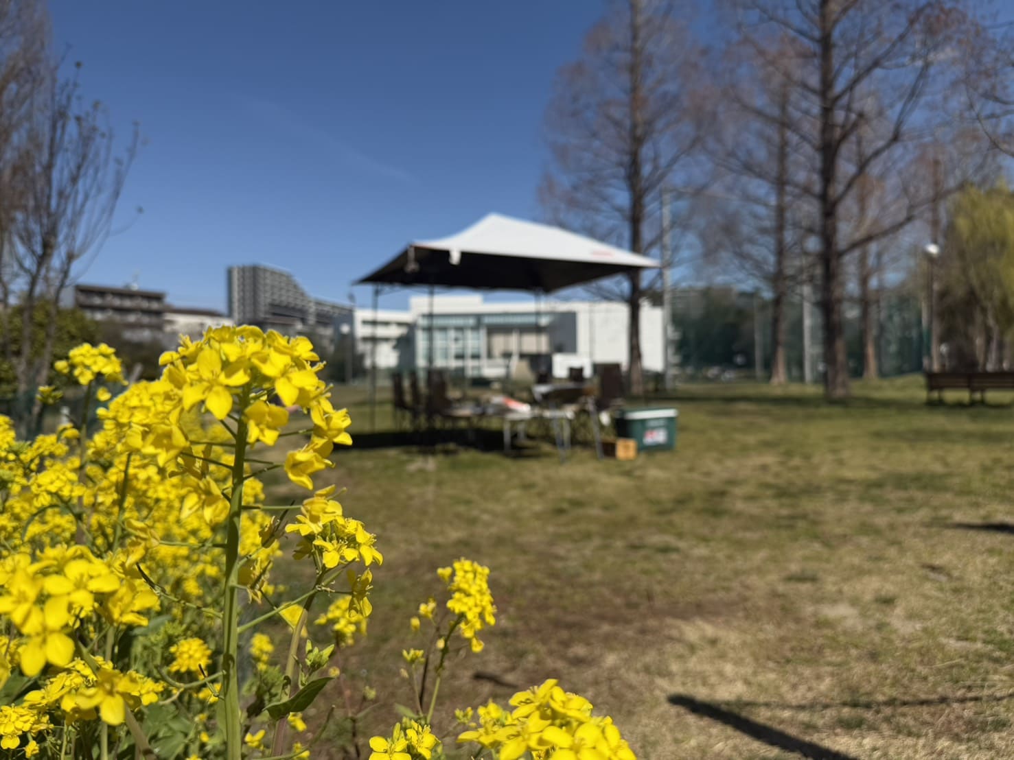 今週のプラッツ習志野♥